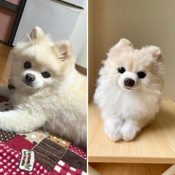 Custom-made stuffed toys that look just like your pet