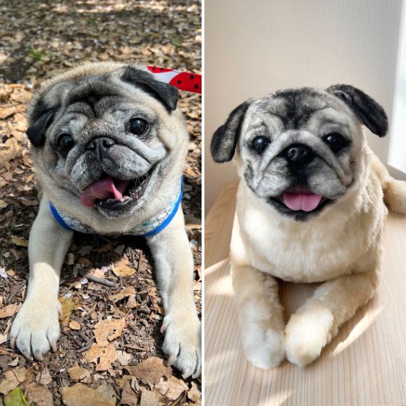 Custom-made stuffed toys that look just like your pet