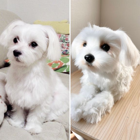 Custom-made stuffed toys that look just like your pet