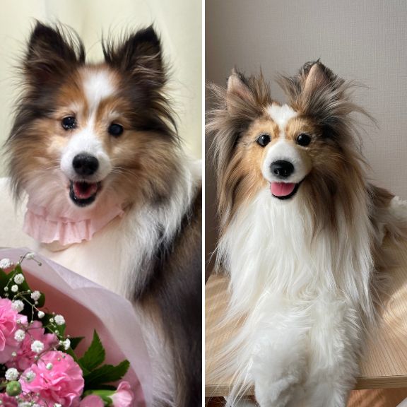 Custom-made stuffed toys that look just like your pet