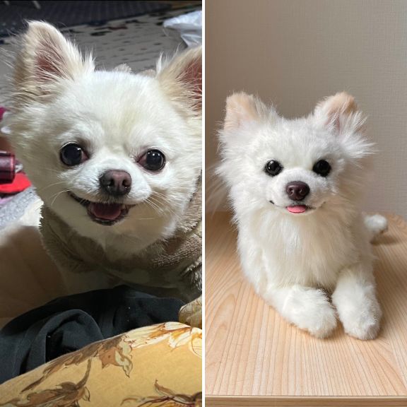 Custom-made stuffed toys that look just like your pet
