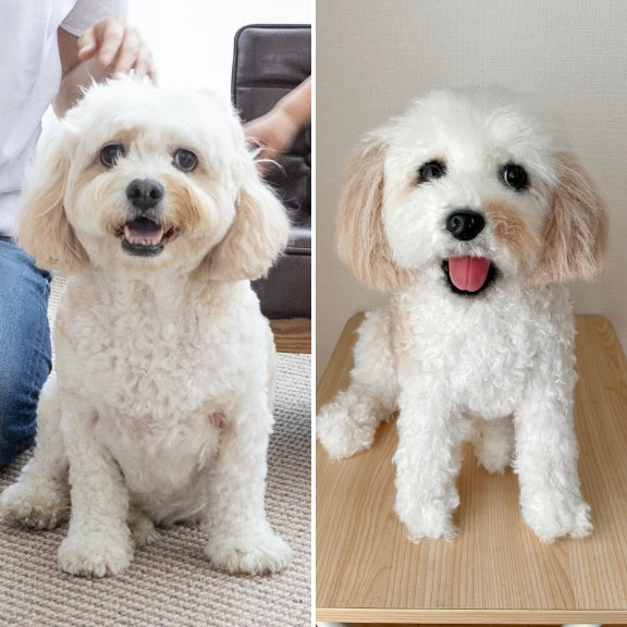 ペットそっくりオーダーメイドぬいぐるみ