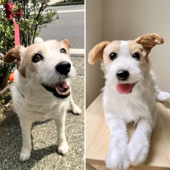 Custom-made stuffed toys that look just like your pet