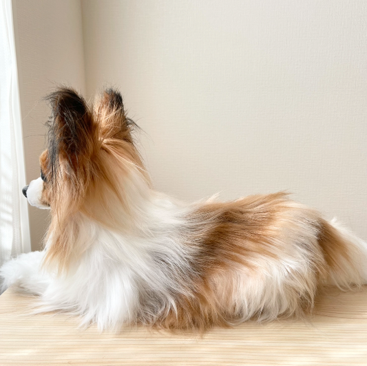犬（パピヨン）のぬいぐるみの側面