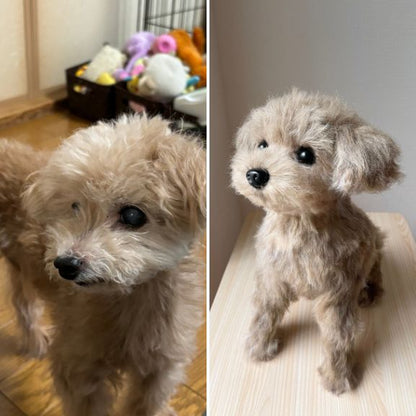 Custom-made stuffed toys that look just like your pet