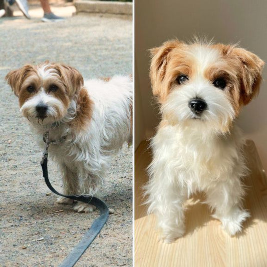 Custom-made stuffed toys that look just like your pet