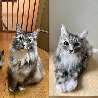 ペットそっくりオーダーメイドぬいぐるみ