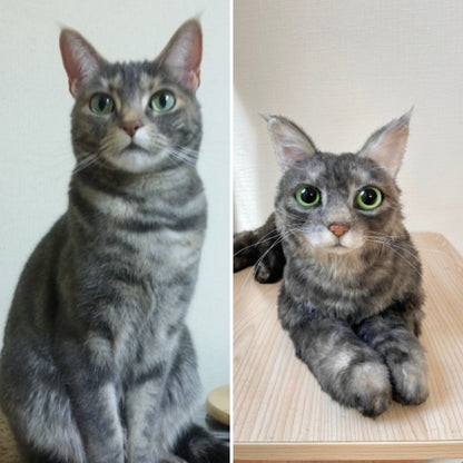 Custom-made stuffed toys that look just like your pet