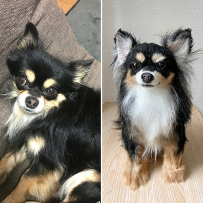 Custom-made stuffed toys that look just like your pet