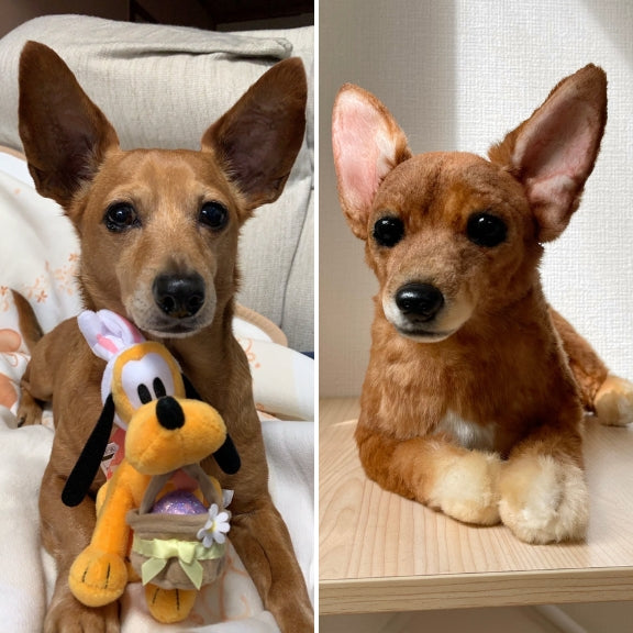 ペットそっくりオーダーメイドぬいぐるみ – FLUFFY