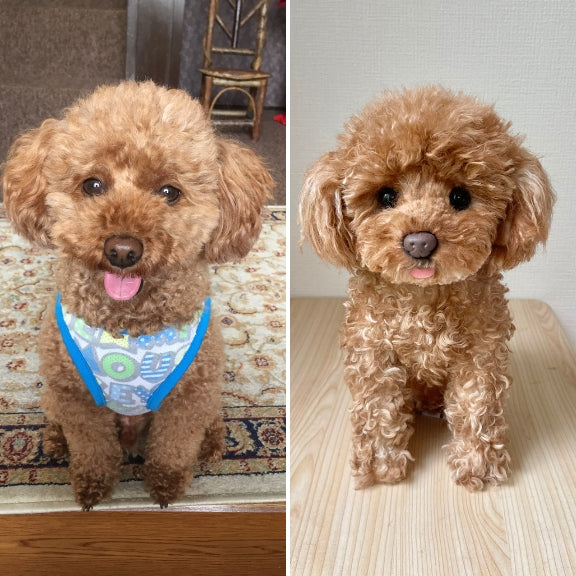 作品例336 リンくん.jpg