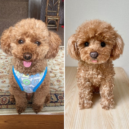 作品例336 リンくん.jpg