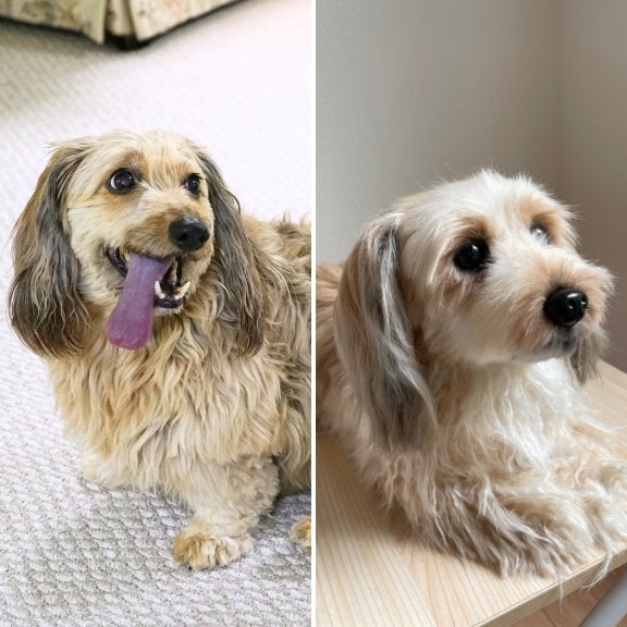 作品例338 チェルシーちゃん.jpg