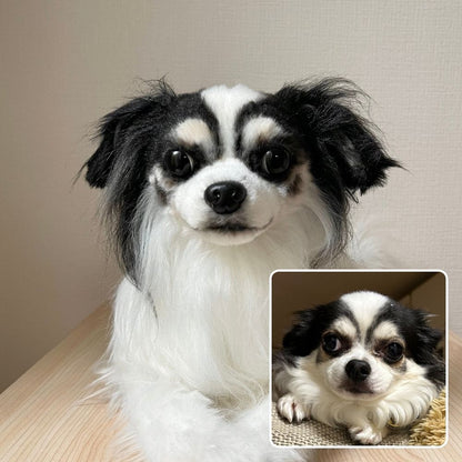 作品例347 ルーファスくん.jpg