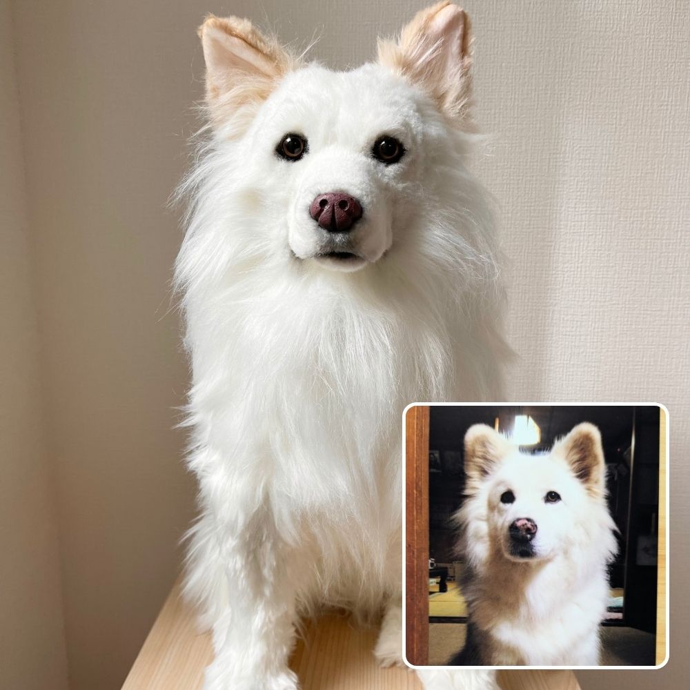 ペットそっくりオーダーメイドぬいぐるみ – FLUFFY