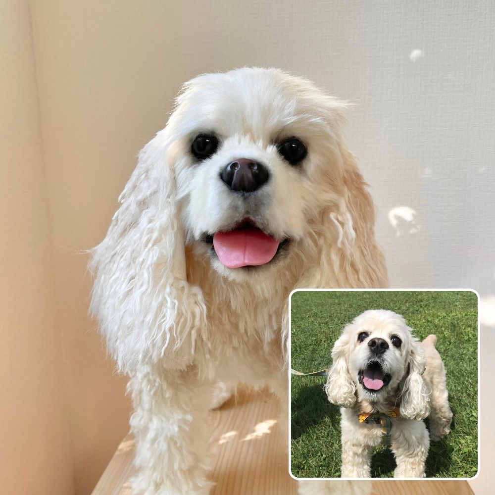 ペットそっくりオーダーメイドぬいぐるみ