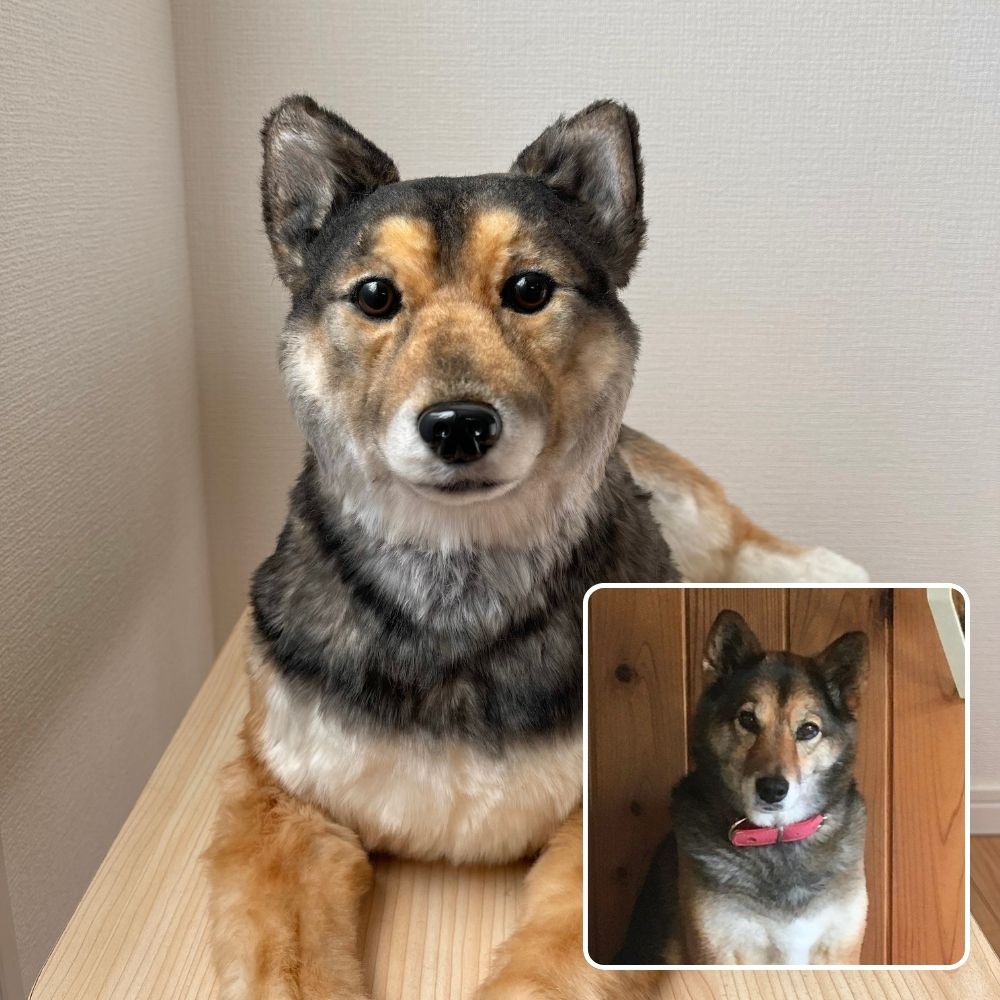 ペットそっくりオーダーメイドぬいぐるみ – FLUFFY