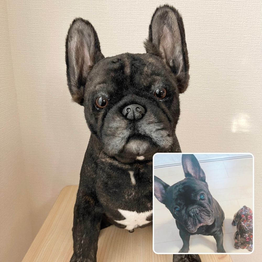 作品例361 ぶるくん.jpg