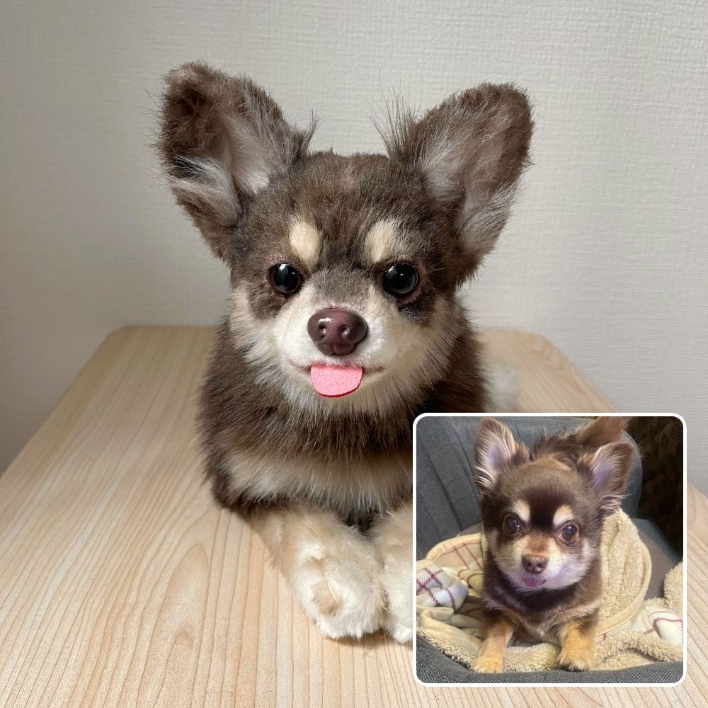 ペットそっくりオーダーメイドぬいぐるみ