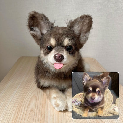 ペットそっくりオーダーメイドぬいぐるみ