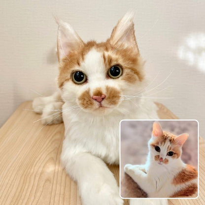 ペットそっくりオーダーメイドぬいぐるみ