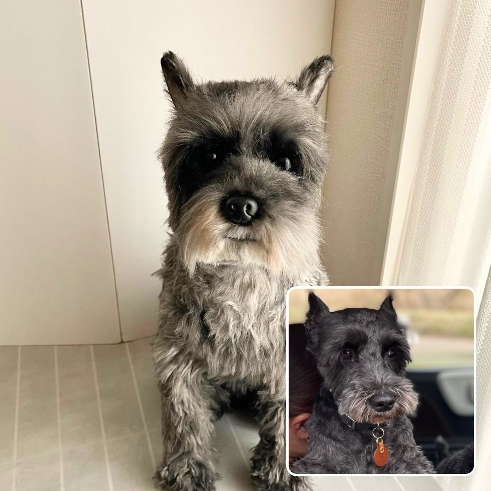 ペットそっくりオーダーメイドぬいぐるみ