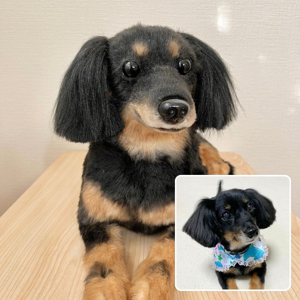 ペットそっくりオーダーメイドぬいぐるみ