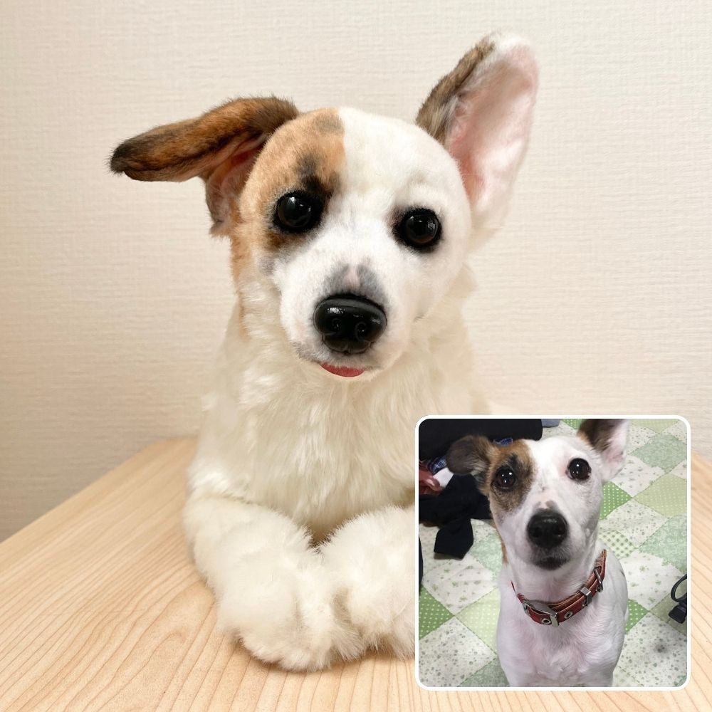 ペットそっくりオーダーメイドぬいぐるみ