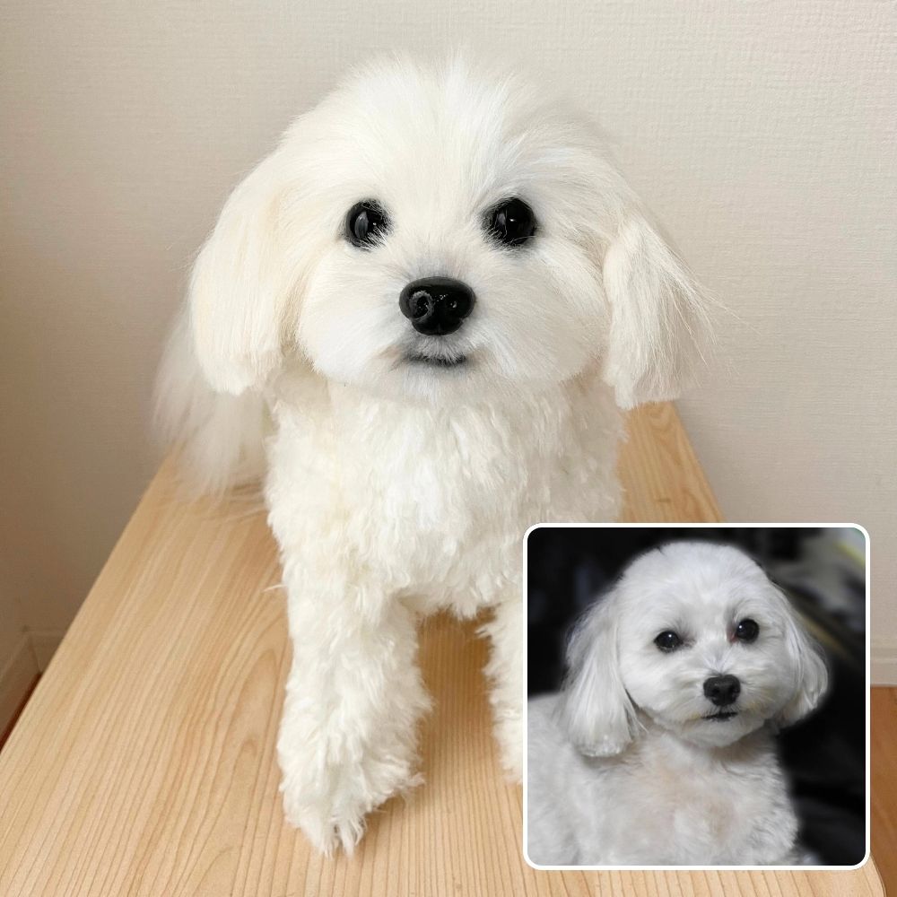 ペットそっくりオーダーメイドぬいぐるみ