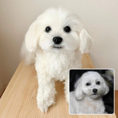 ペットそっくりオーダーメイドぬいぐるみ