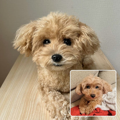 作品例403 チョコちゃん(中野.jpg